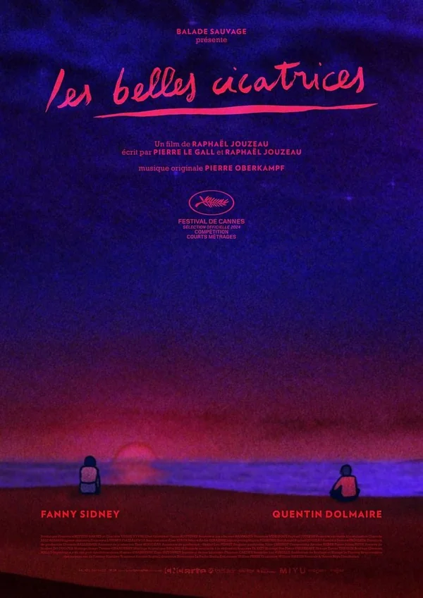 Affiche du film Les Belles Cicatrices