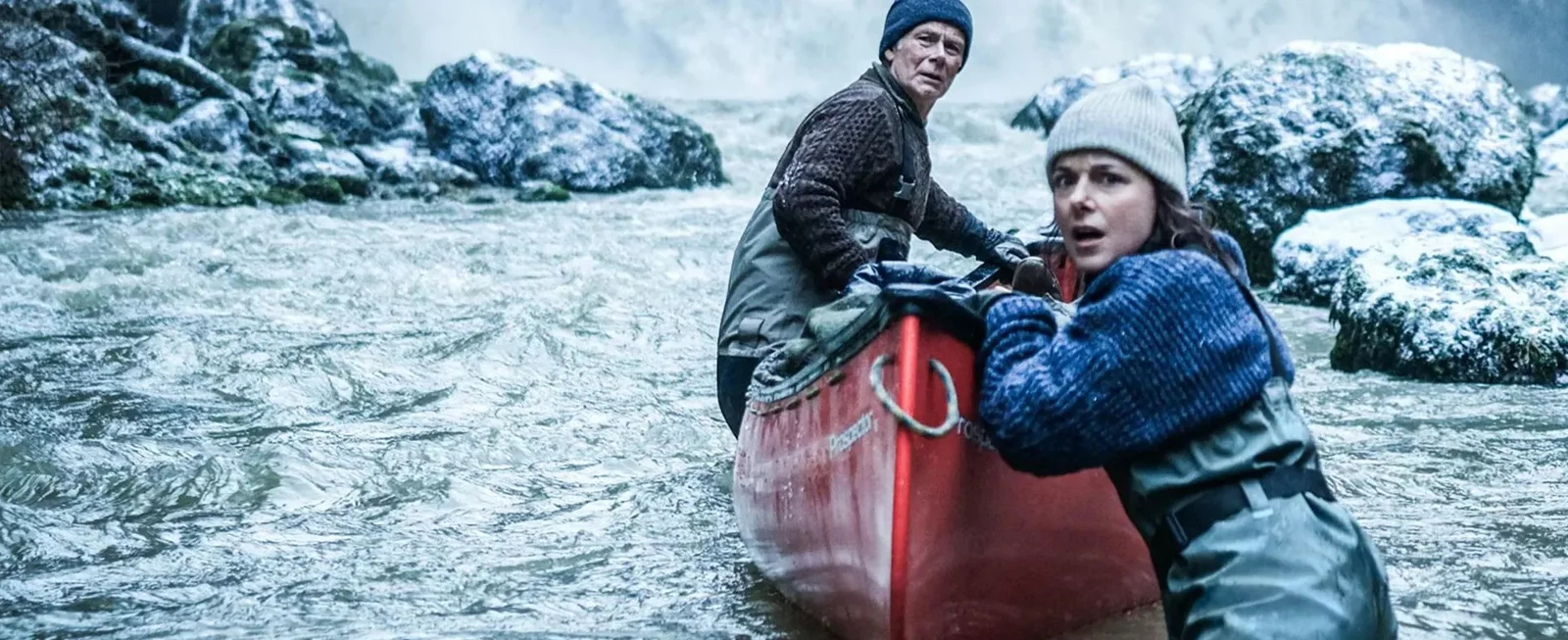 UN OURS DANS LE JURA