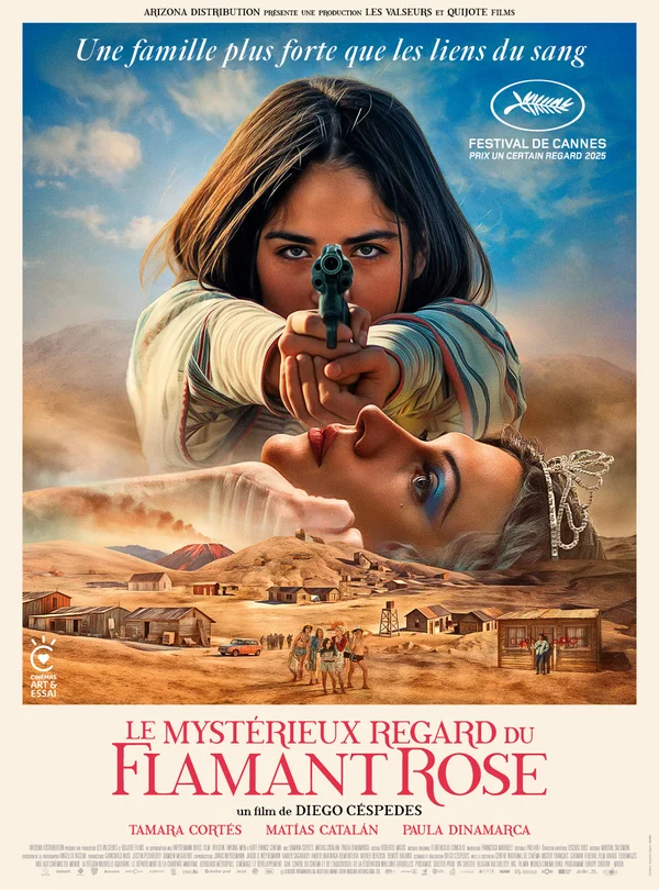 poster de Le Mysterieux Regard Du Flamant Rose