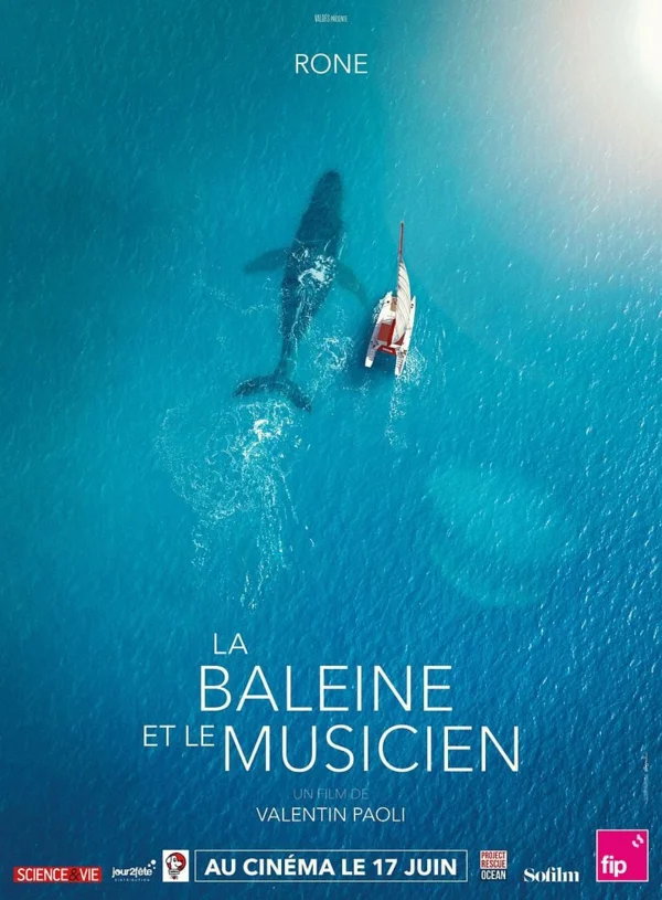 LA BALEINE ET LE MUSICIEN