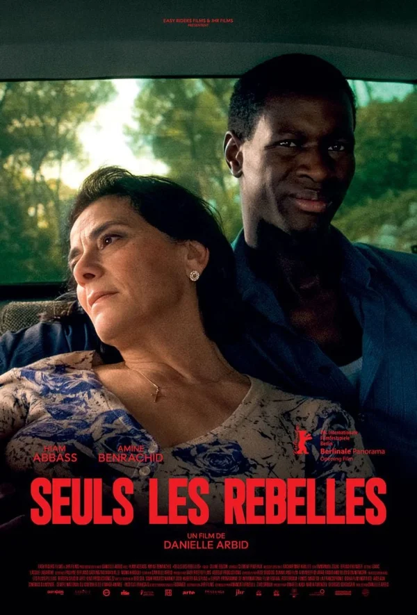 poster de Seuls les Rebelles