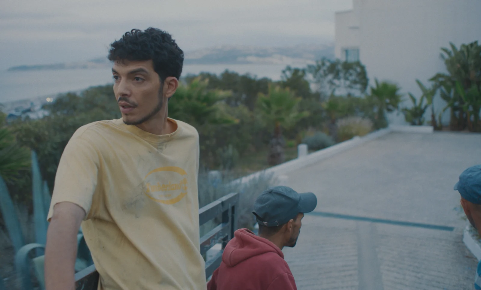 DERRIERE LES PALMIERS