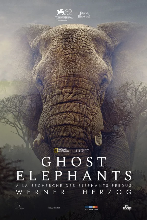 GHOST ELEPHANTS