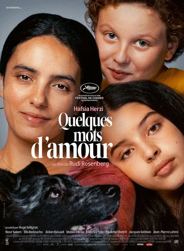 poster de Quelques Mots D Amour 