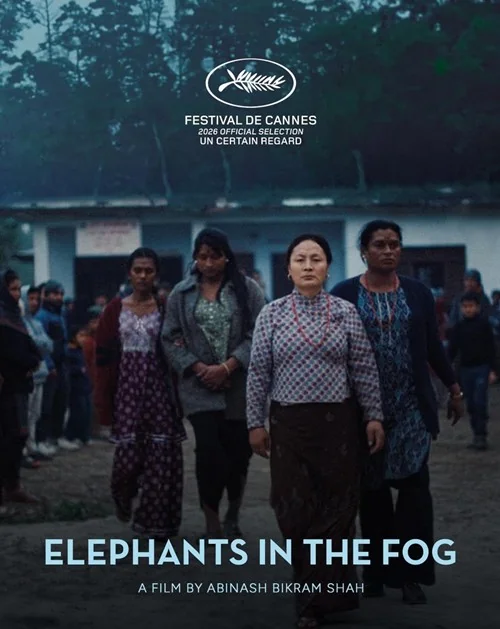 Affiche du film Les Elephants Dans La Brume