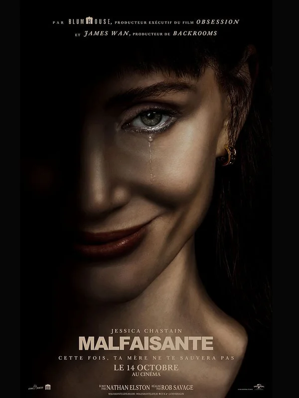 Affiche du film Malfaisante