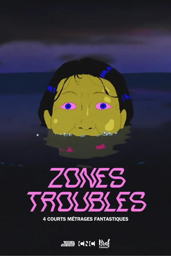 Affiche du film Zones Troubles Agence Du Court Metrage 2026