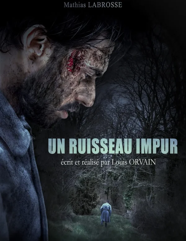 Affiche de Un Ruisseau Impur