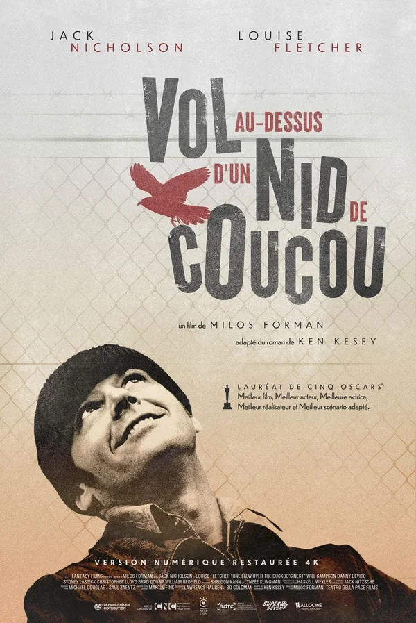 poster de Vol au-dessus d'un nid de coucou